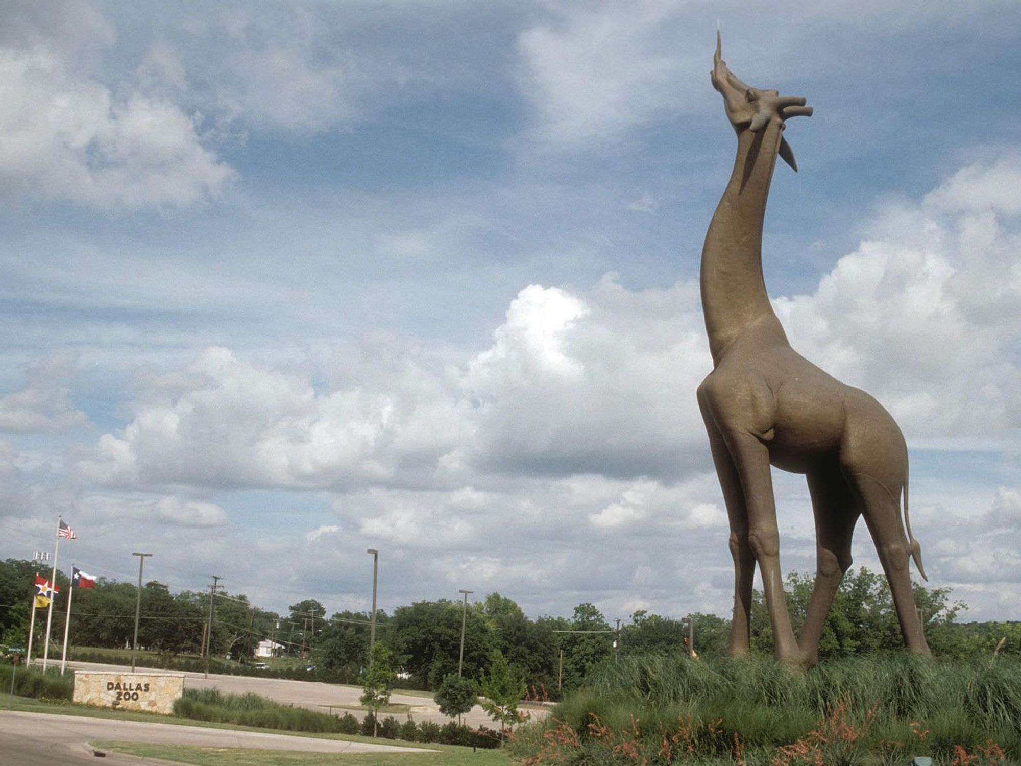 Giraffe sculpture at Dallas Zoo