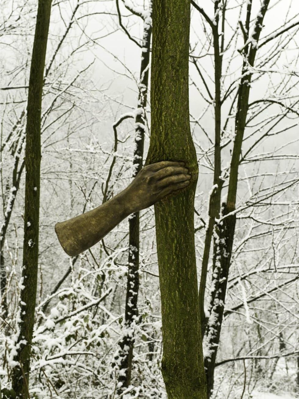Giuseppe Penone