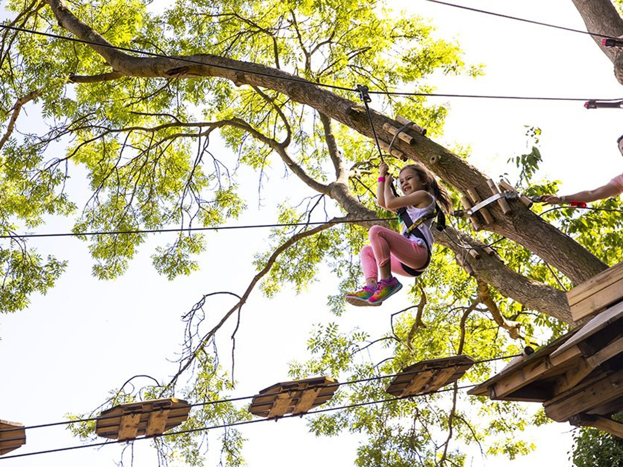 Go Ape Zipline and Adventure Park