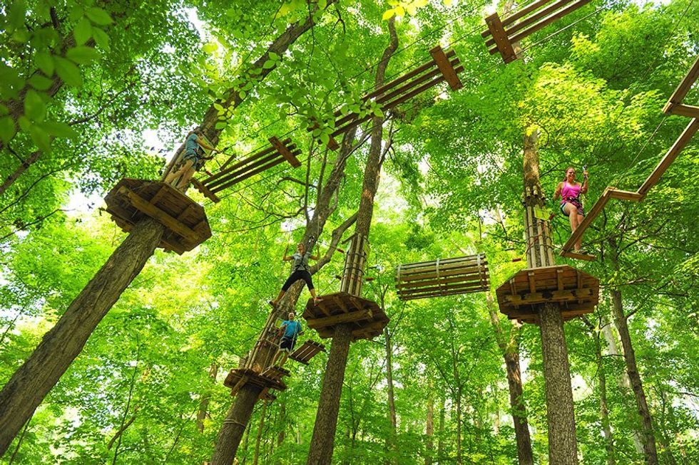 Go Ape Zipline and Adventure Park