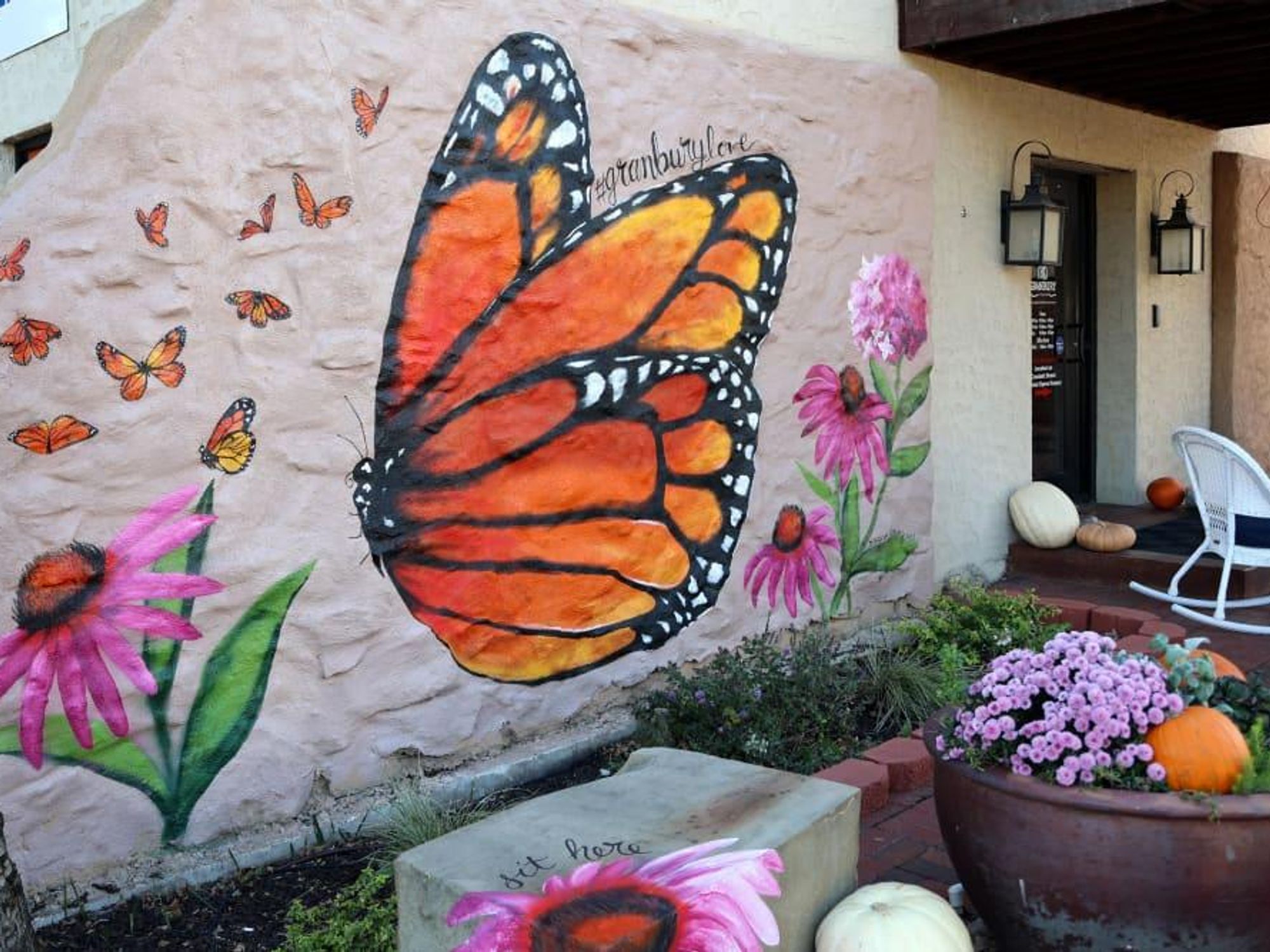 granbury butterfly mural