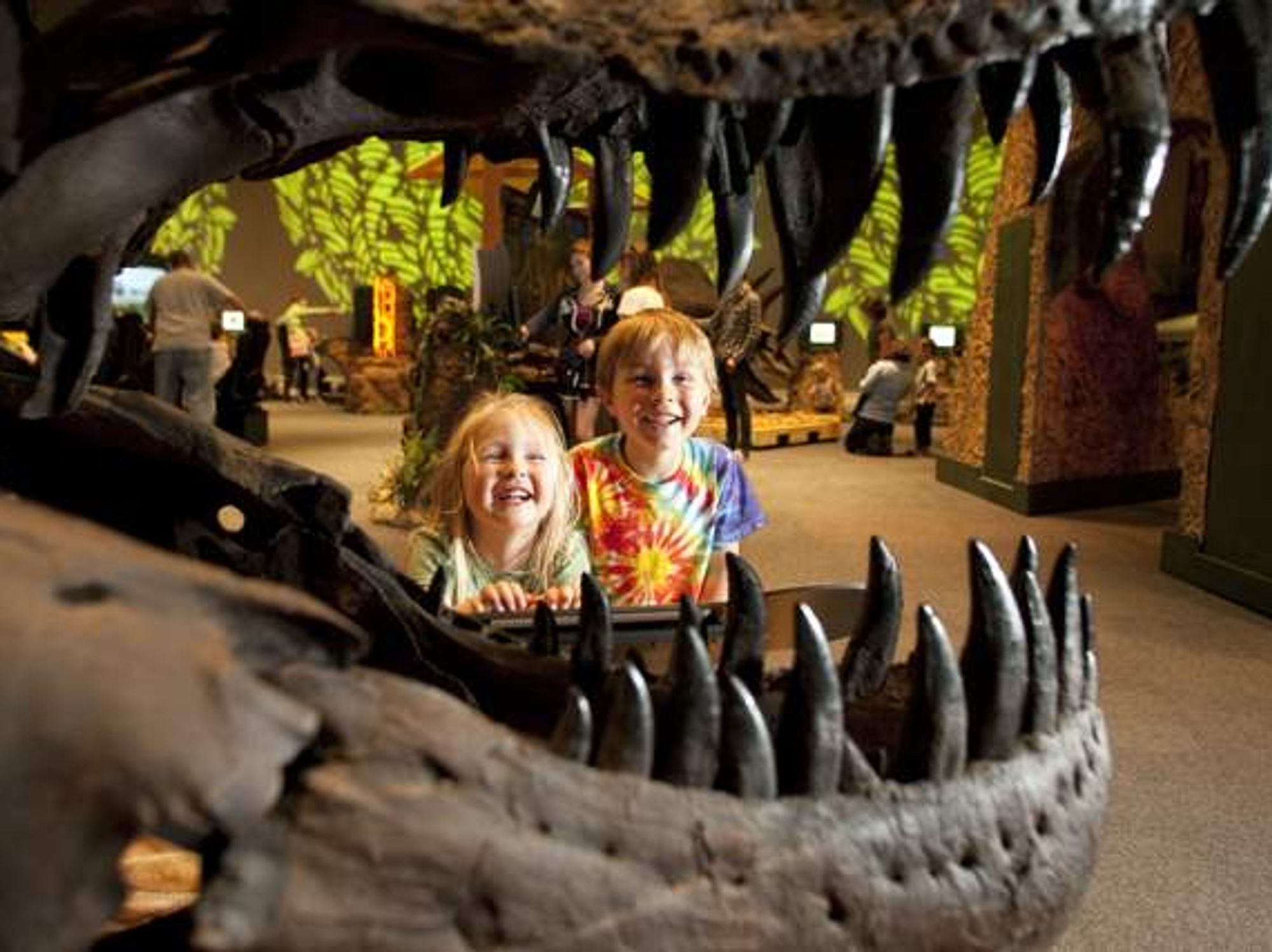 Grapevine dinosaur fossil