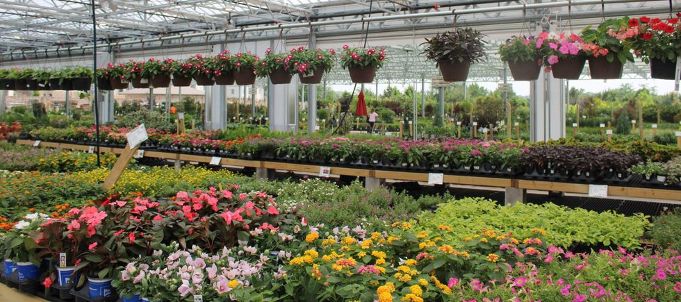Green Acres Nursery & Supply