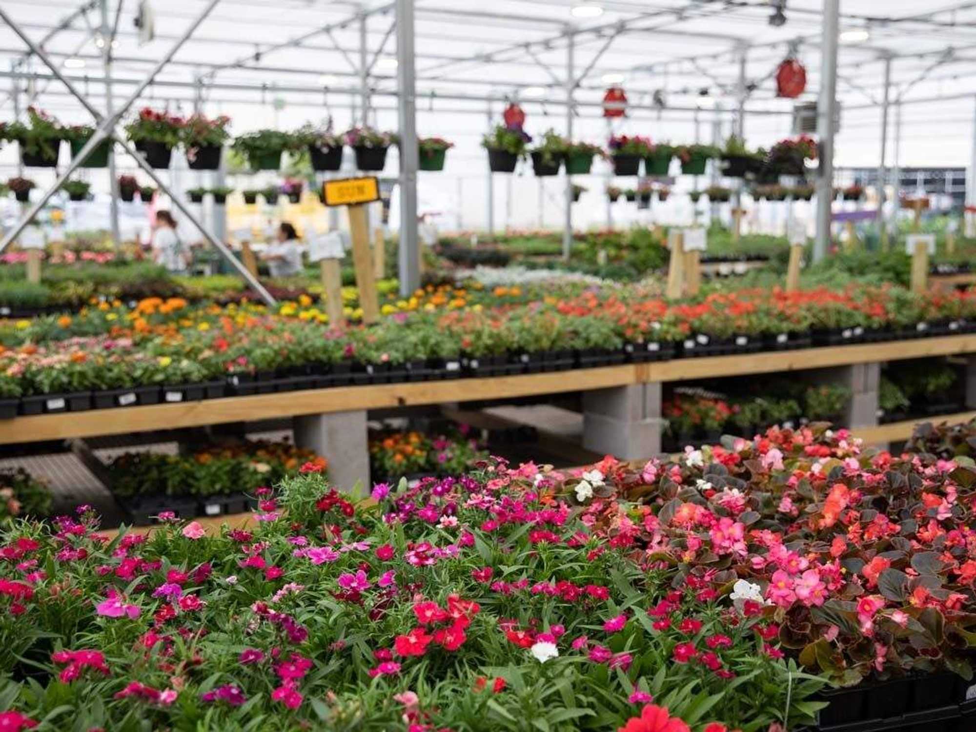 Green Acres Nursery & Supply