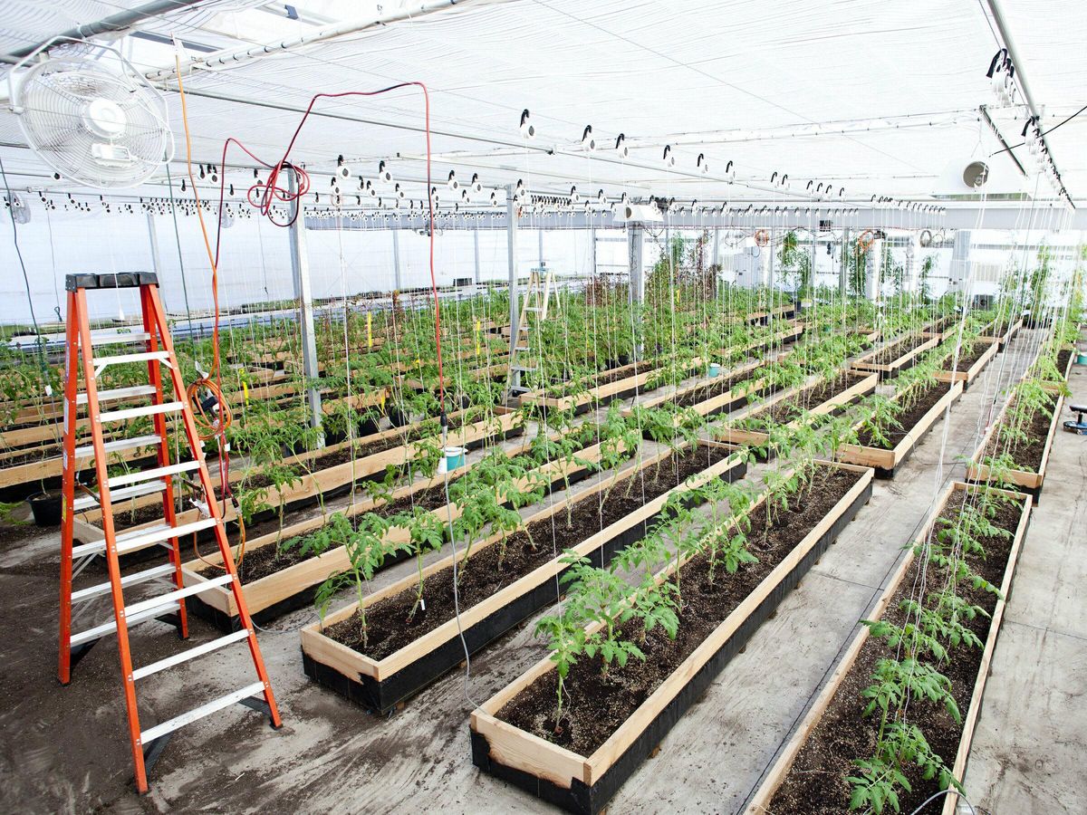 The inn's 7,000squarefoot greenhouse. CultureMap Dallas