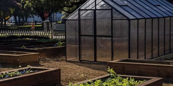 New garden near downtown Dallas gets trafficking survivors back on track - Vimarsana News