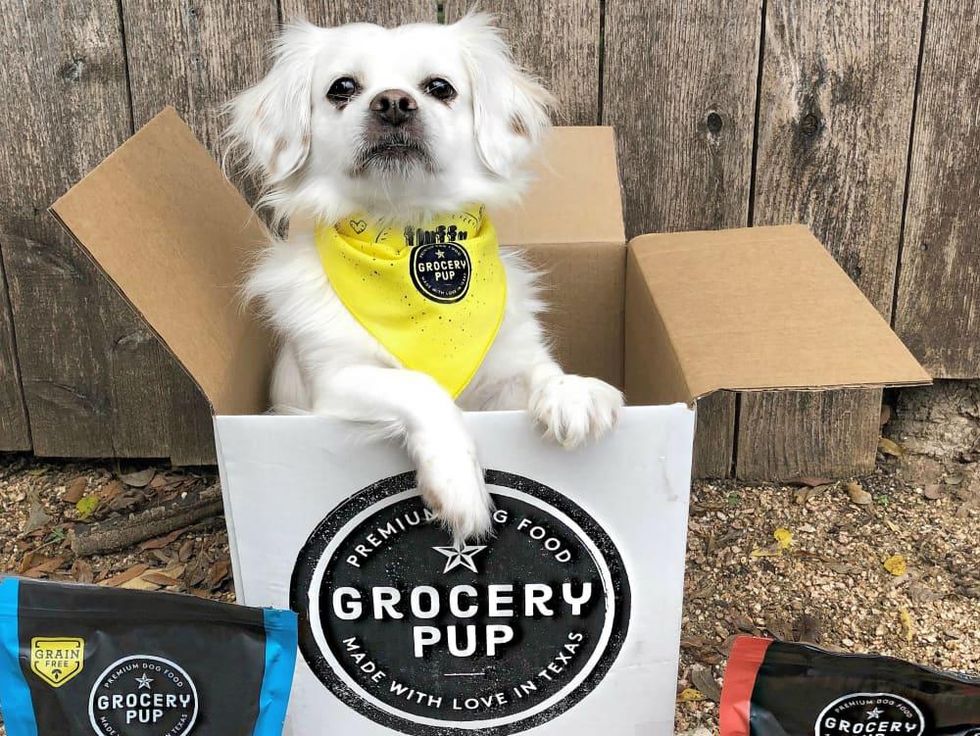 Grocery Pup food and cute dog