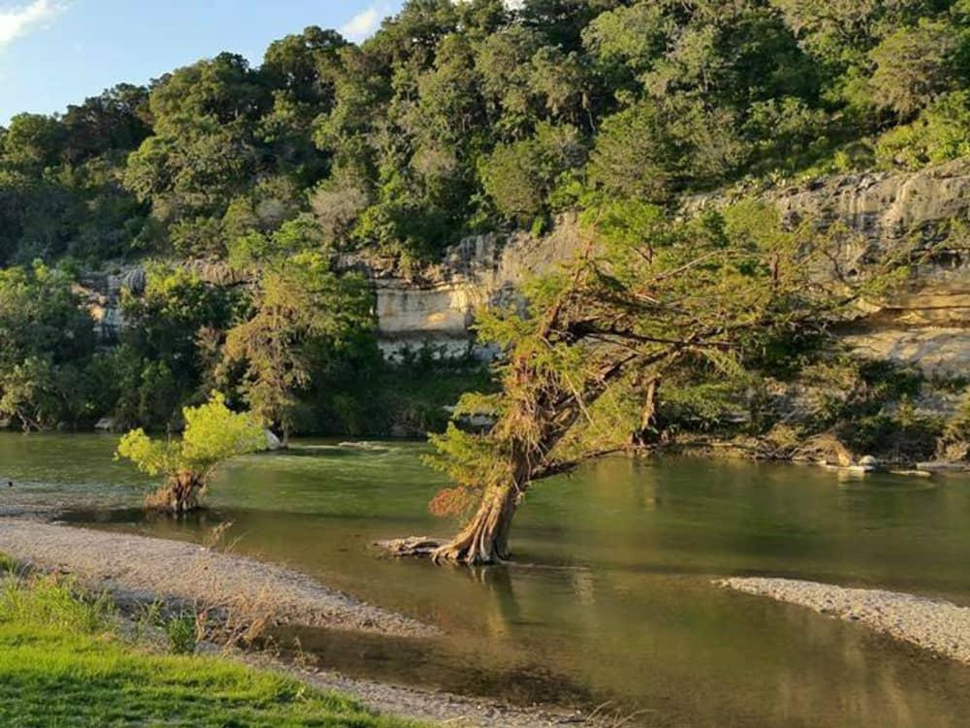 Guadalupe River State Park Spring Branch Texas swimming
