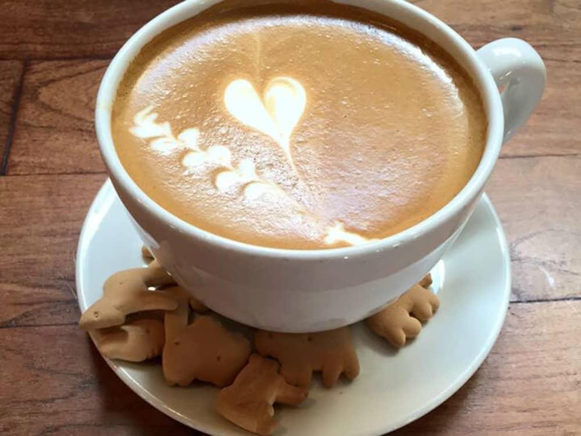 Halcyon San Antonio Southtown coffee latte art cappuccino