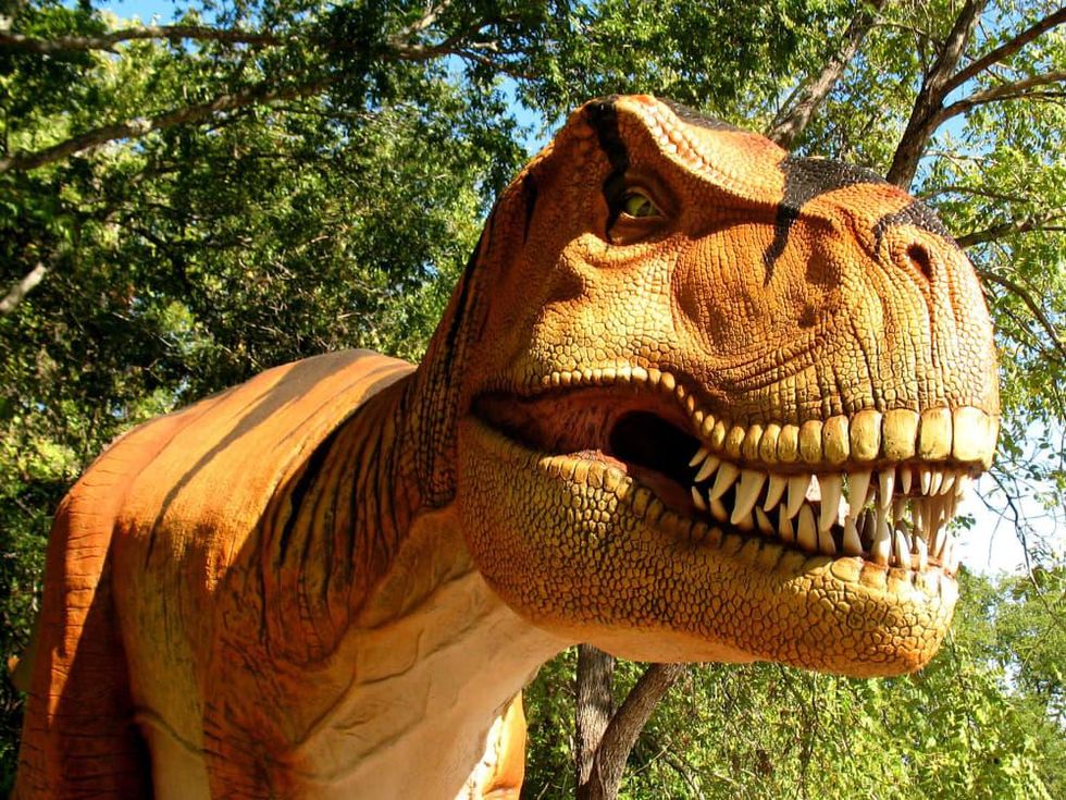 Heard Natural Science Museum & Wildlife Sanctuary presents Dinosaurs Live!