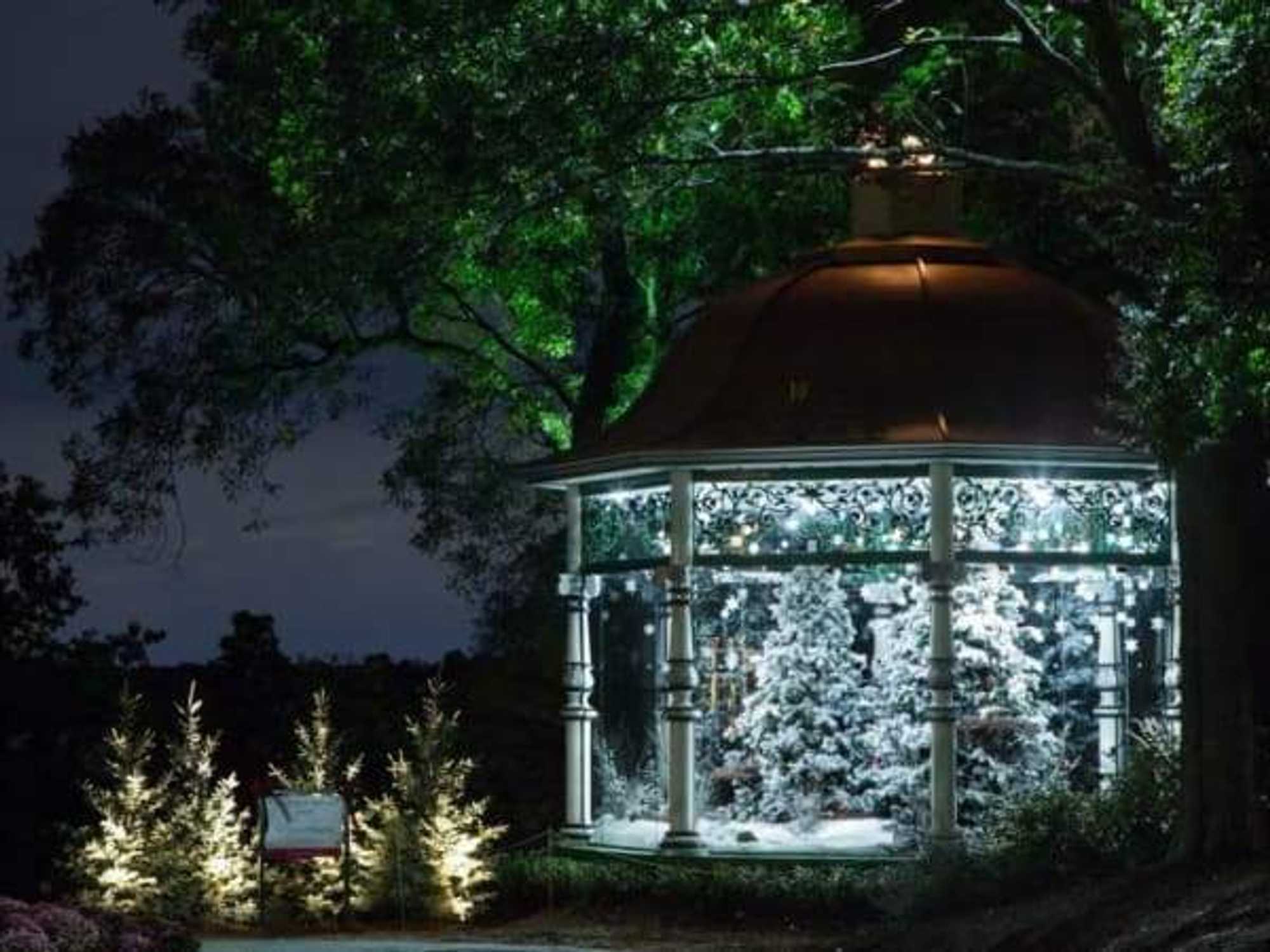 Holiday at the Arboretum