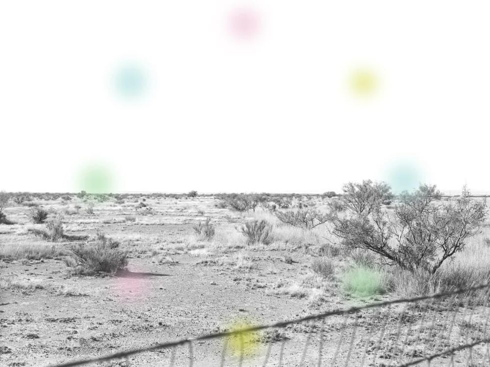 Holly Johnson Gallery presents My Favorite Intern