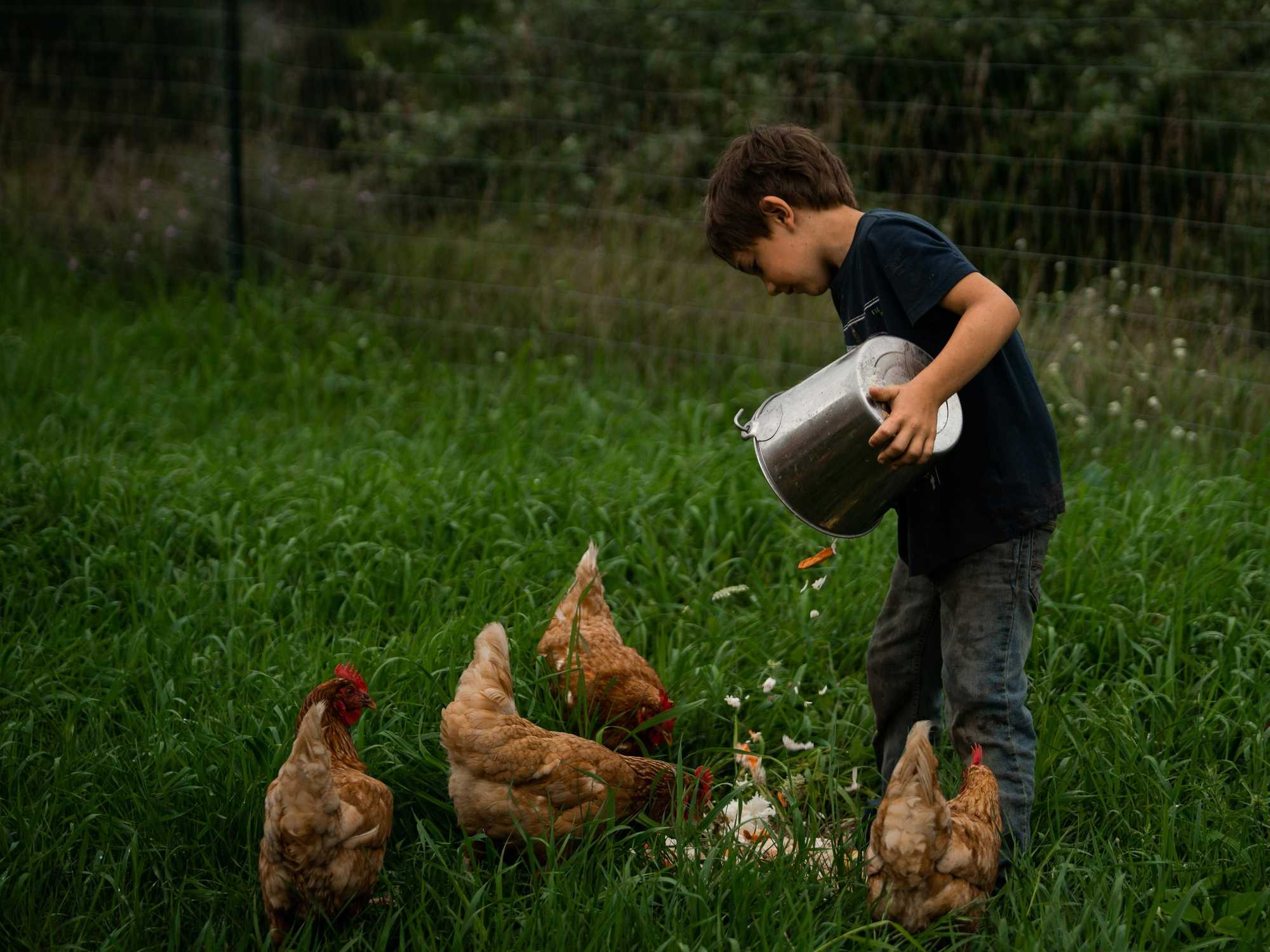 Homesteading and gardening in Texas