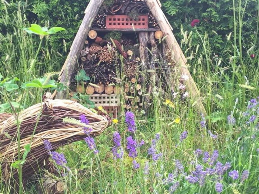 Houzz rustic garden 2