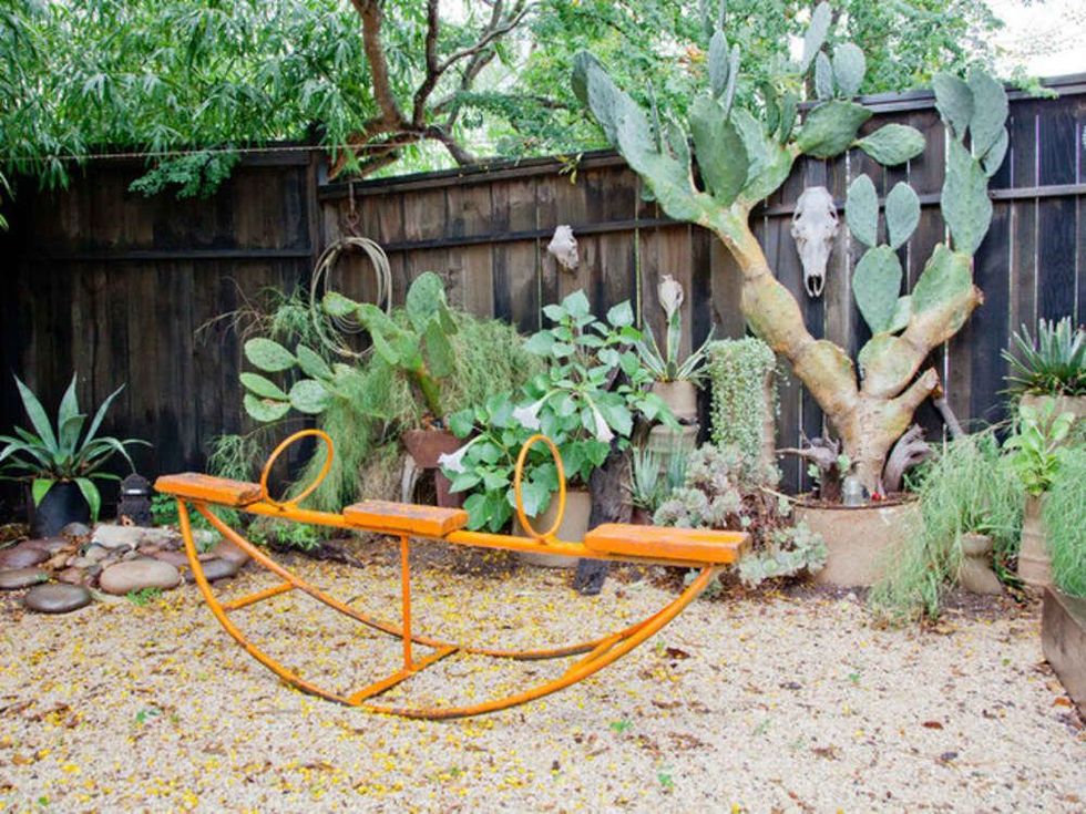 Houzz Texas style cactus garden