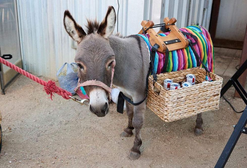 Huffines Communities appreciation event