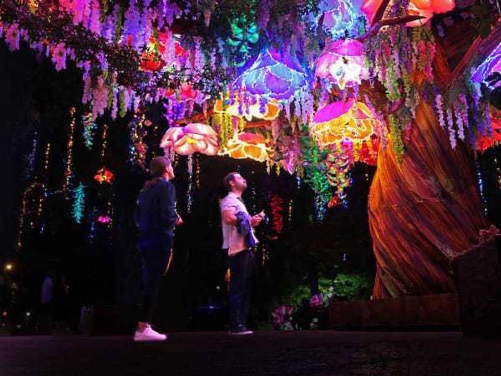 Illuminature