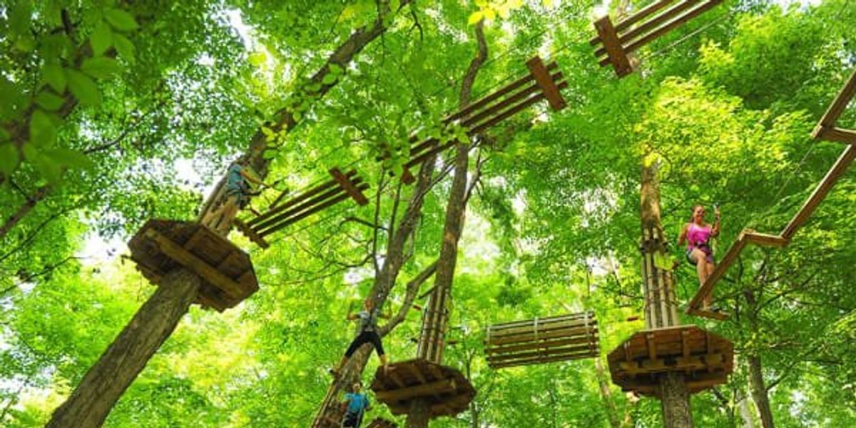 Climb and slide through the trees at the new adventure park in Arlington