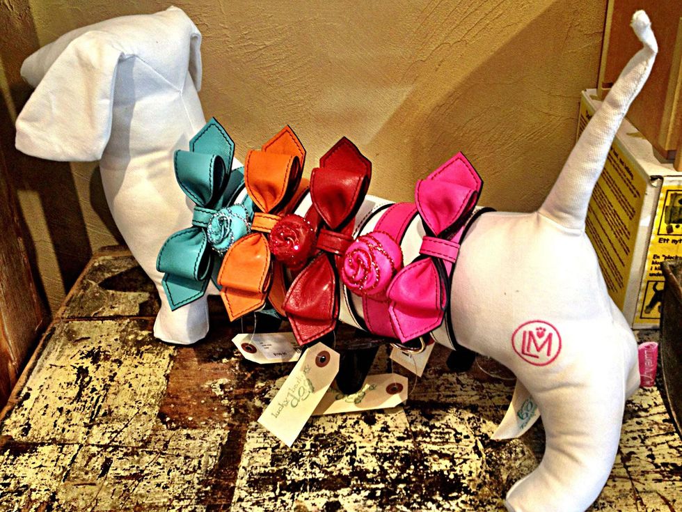 The 9 best places in Dallas to spoil your pets