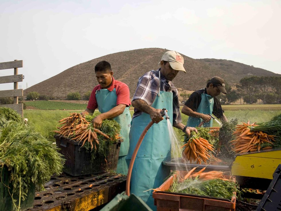 In Organic We Trust documentary film