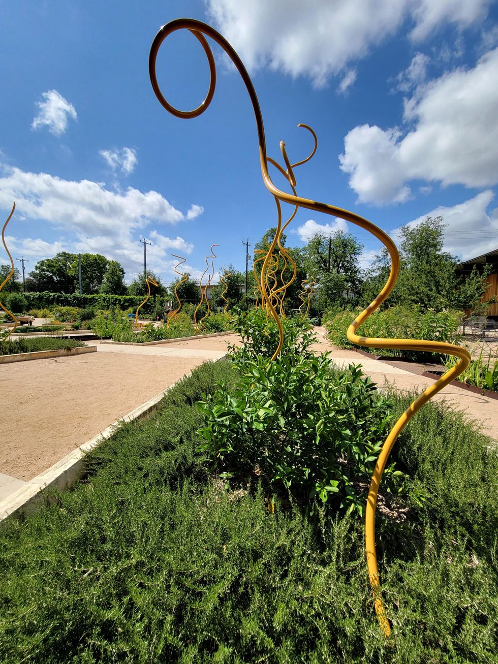 Intertwined Twistys Houston Botanic Garden Steve Tobin