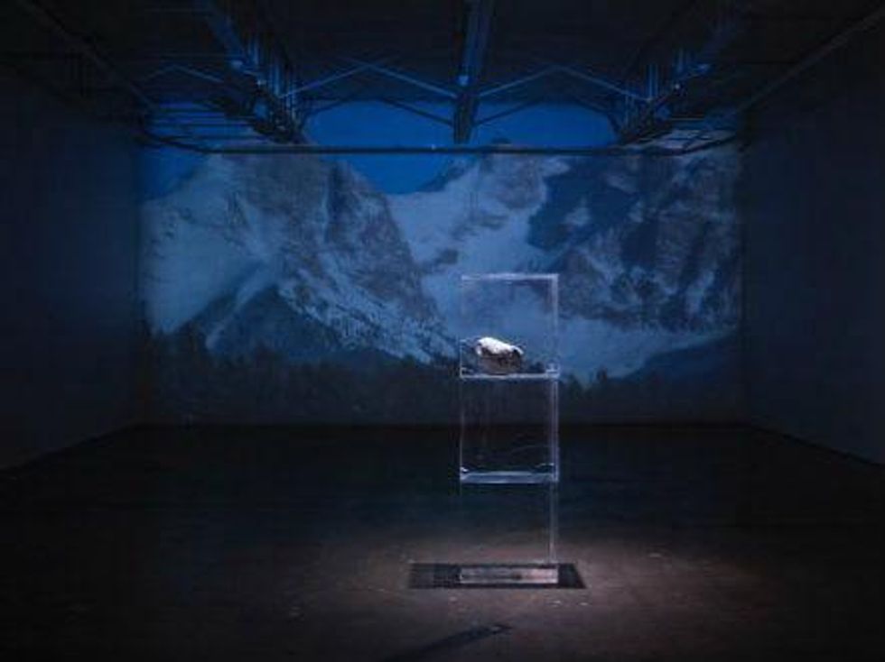 Jeff Gibbons Schiehallion Mountain and Double-Slit