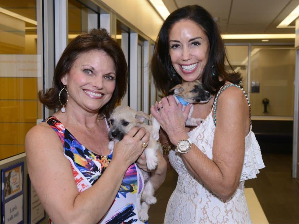 Jocelyn White, Jan Rees-Jones