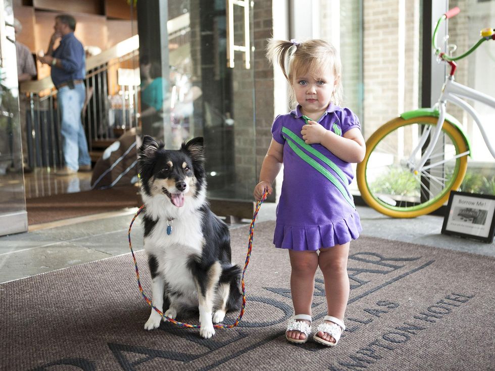 Jordan Neale, Birdi, Hotel Palomar, SPCA