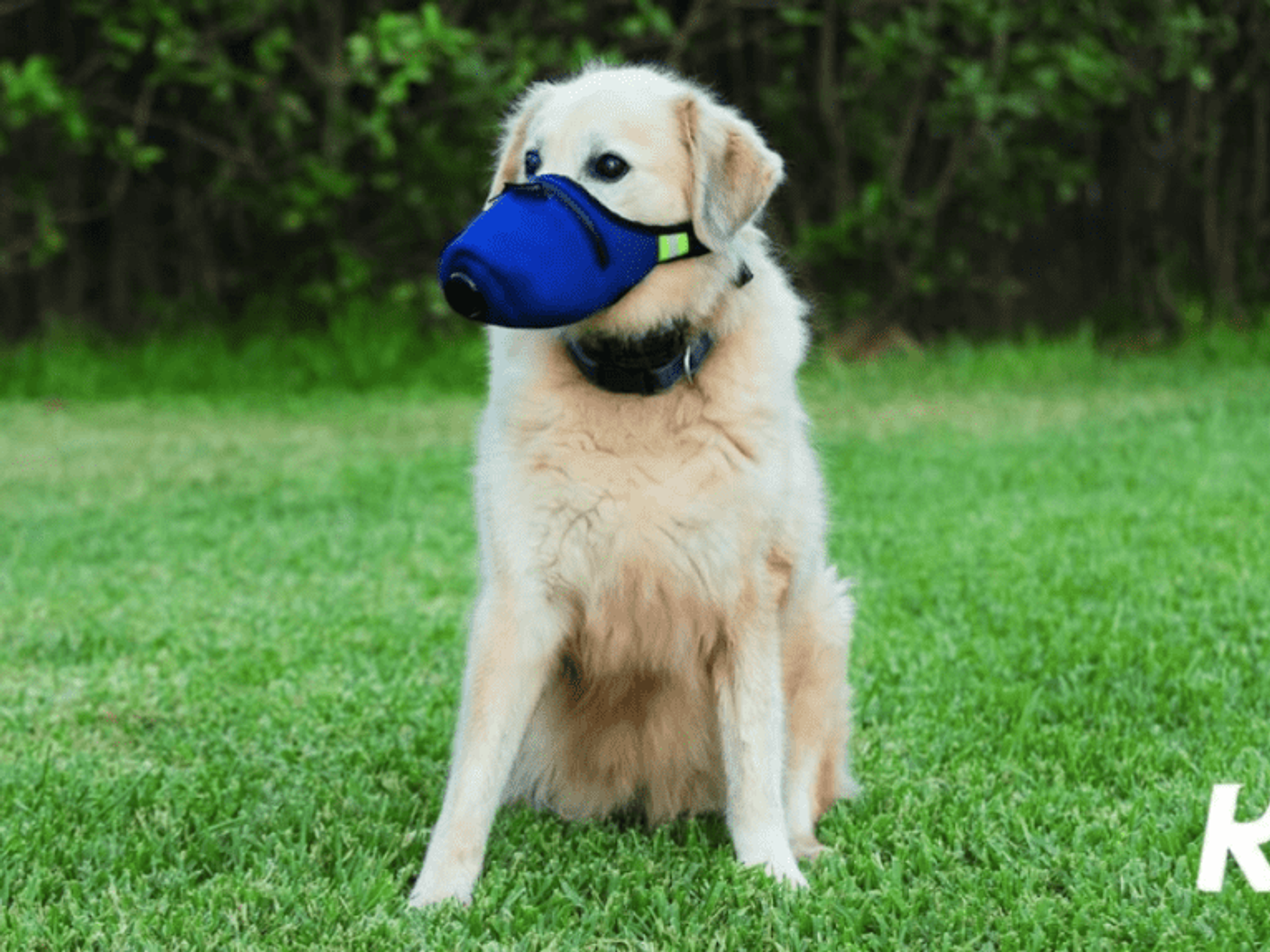 k9 mask dog face mask
