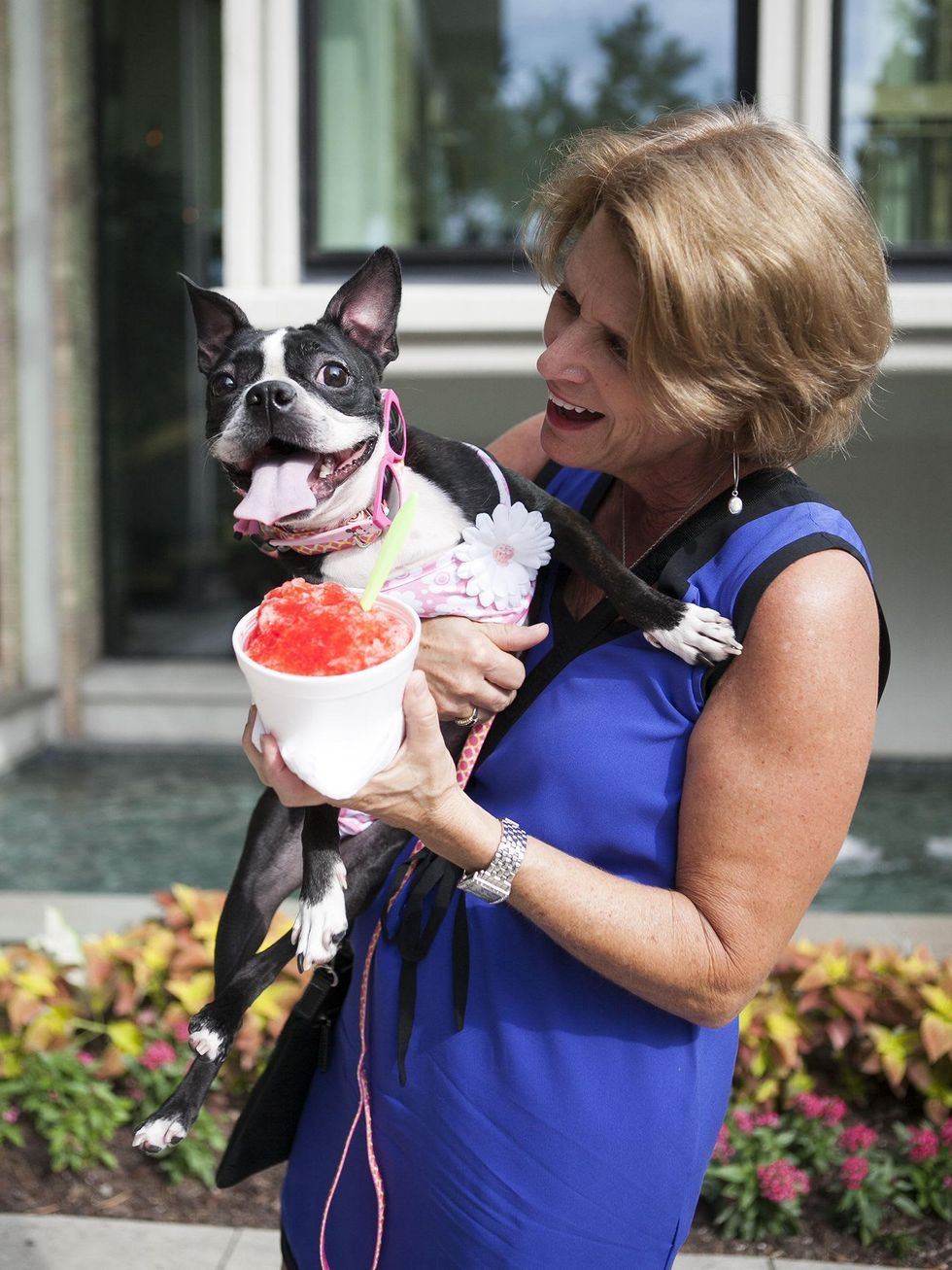 Kathy Oszustowicz, Pokey, SPCA, Hotel Palomar