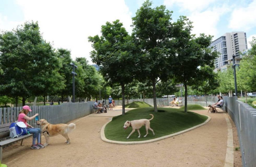 Klyde Warren Park, dog park