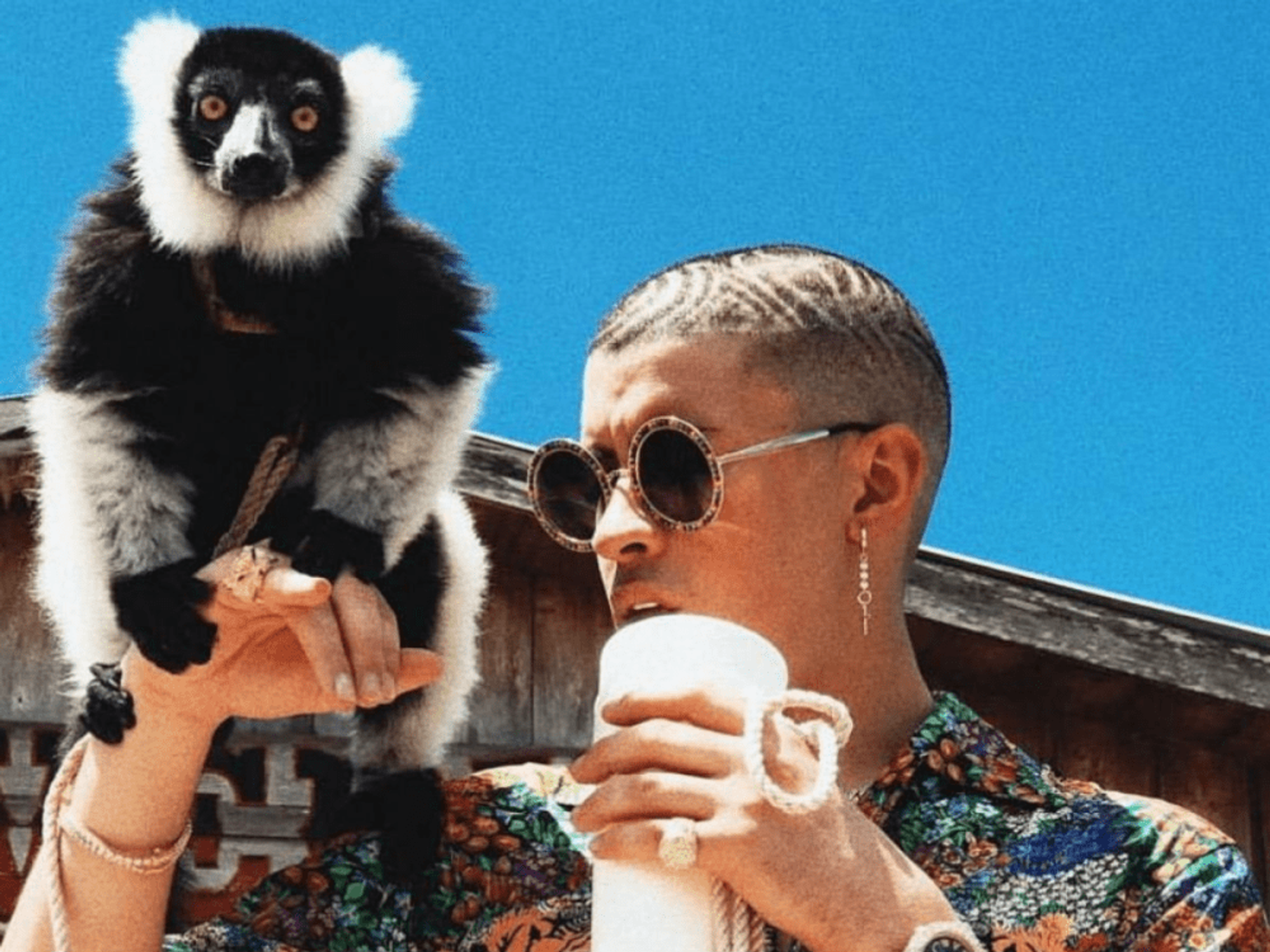 Latin trap and reggaeton star Bad Bunny performs live at the Freeman Coliseum this Friday.