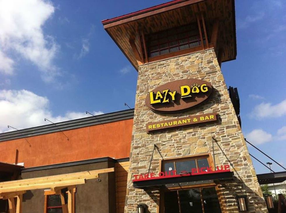 Lazy Dog Restaurant & Bar caters to diners and dogs in lodgelike digs