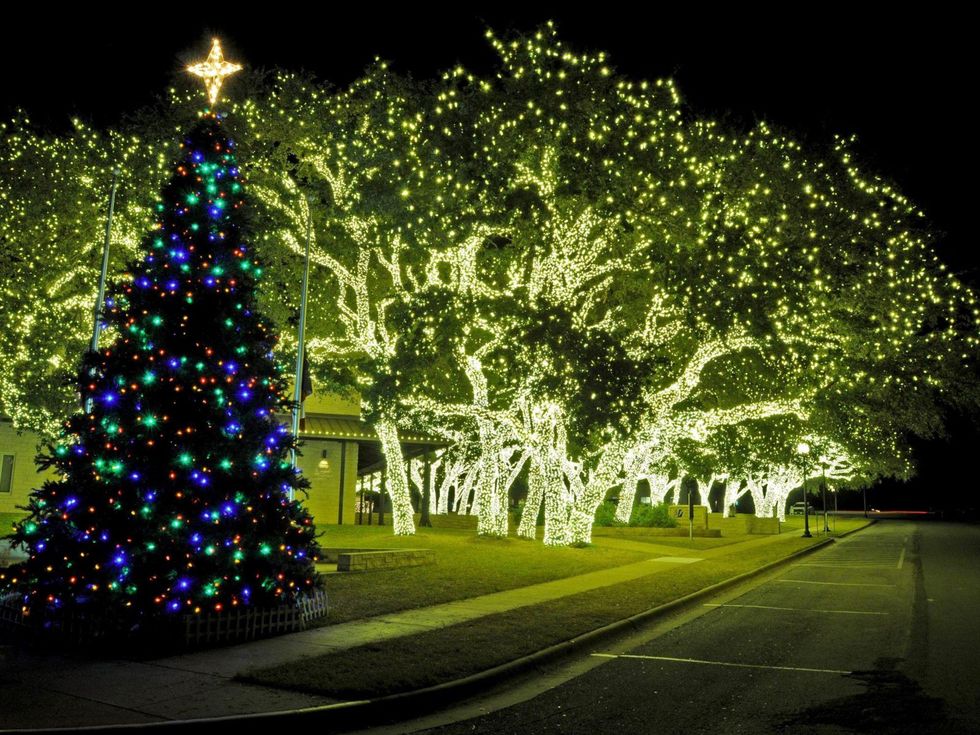 LBJ Johnson City Christmas lights, tree
