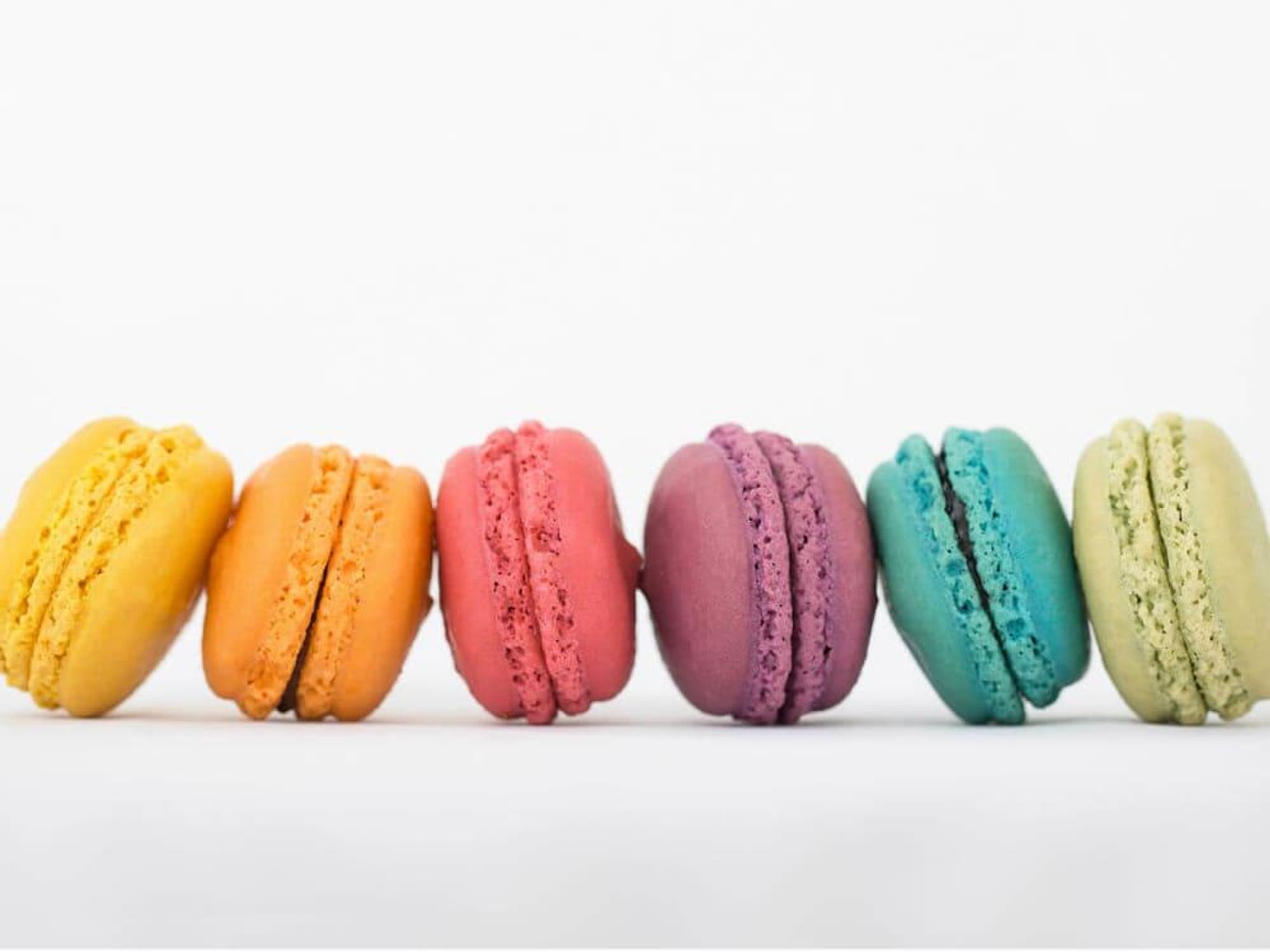 Le Macaron, Sarasota Florida
