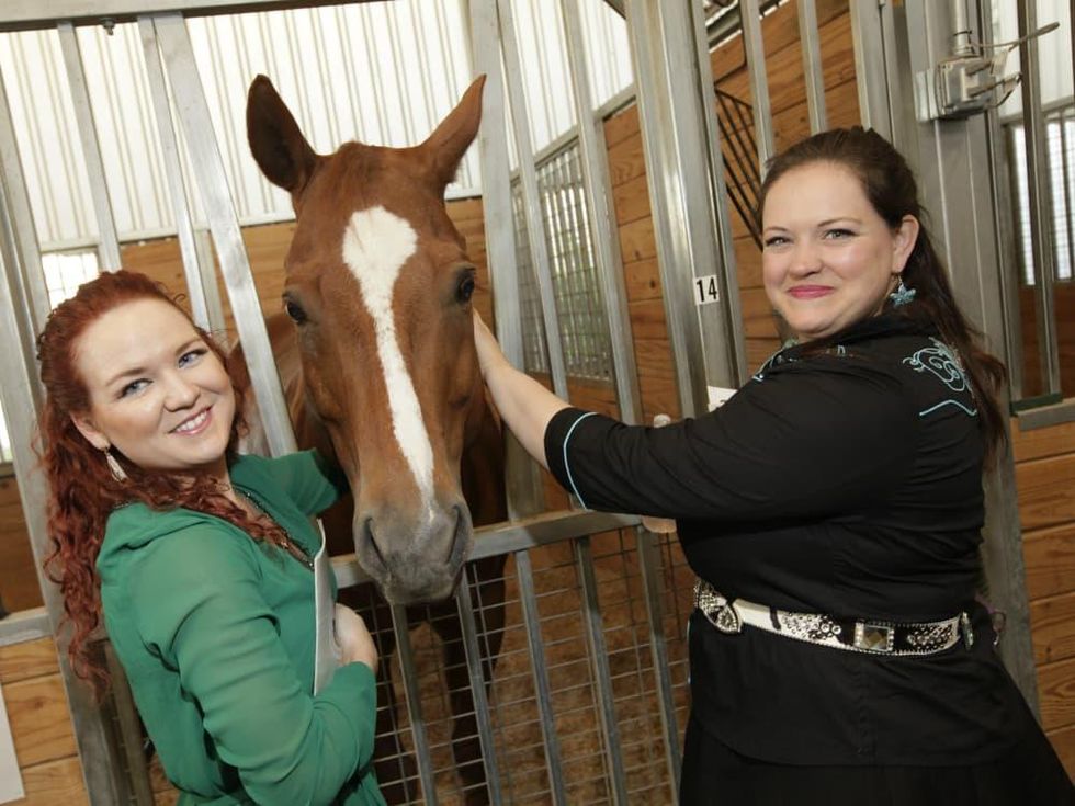 Lexi Little, Buddy (horse), Hannah Genvea