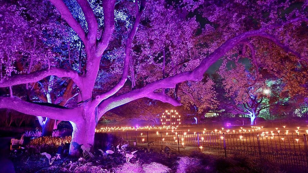 Lightscape Fort Worth Botanic Garden