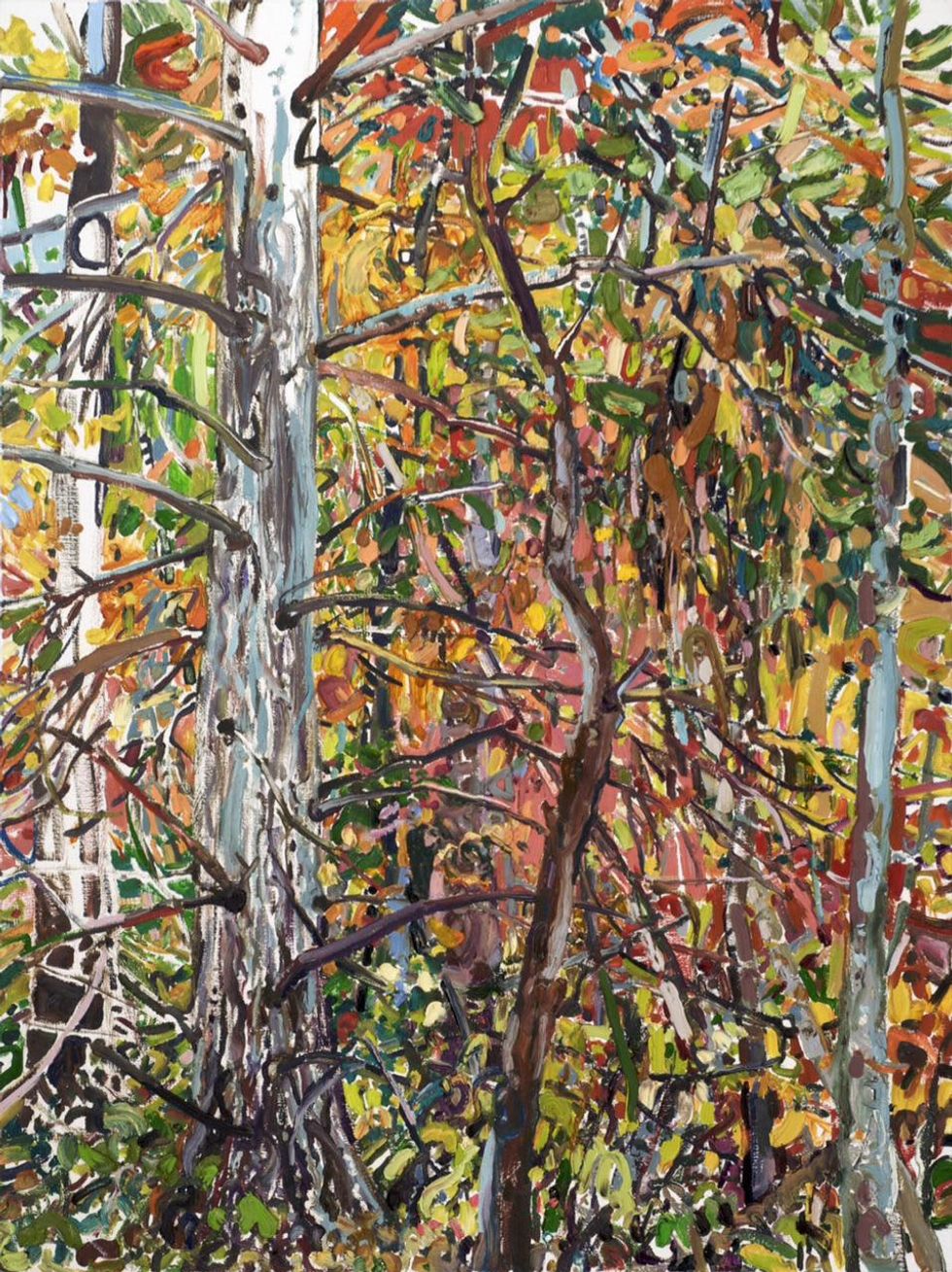 Lilian Garcia-Roig at Valley House Gallery in Dallas