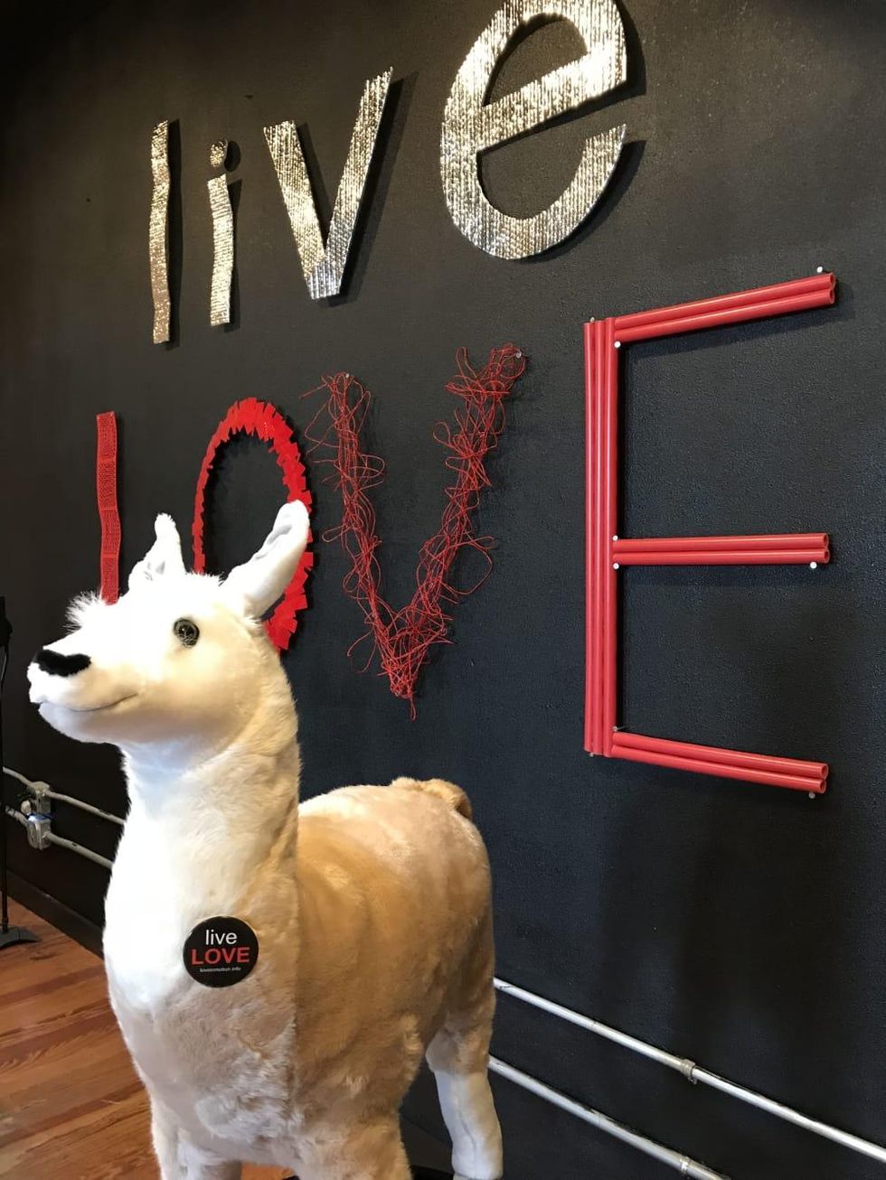 Love in Motion Lola the llama