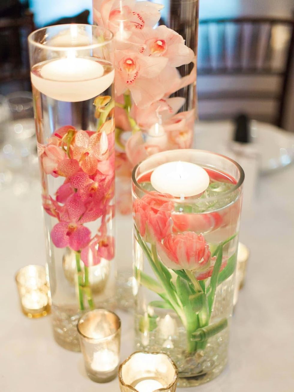 Mackenzie Shawn Tapler & Matthew Joseph Welsh