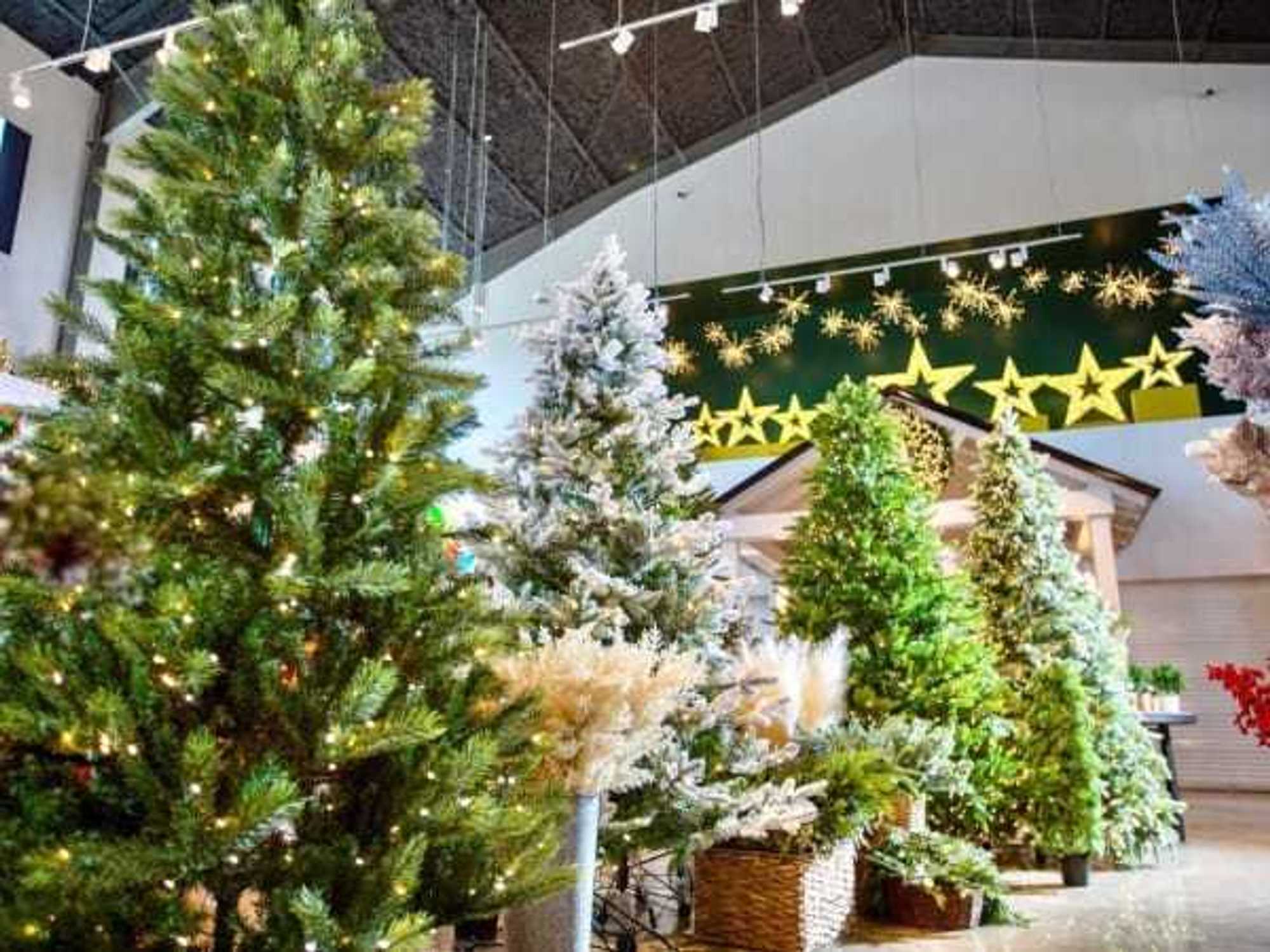 Madisonville Christmas Company