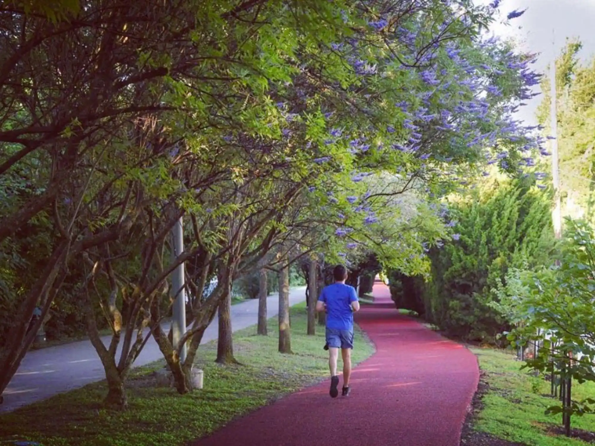 Man jogging on the Katy Trail