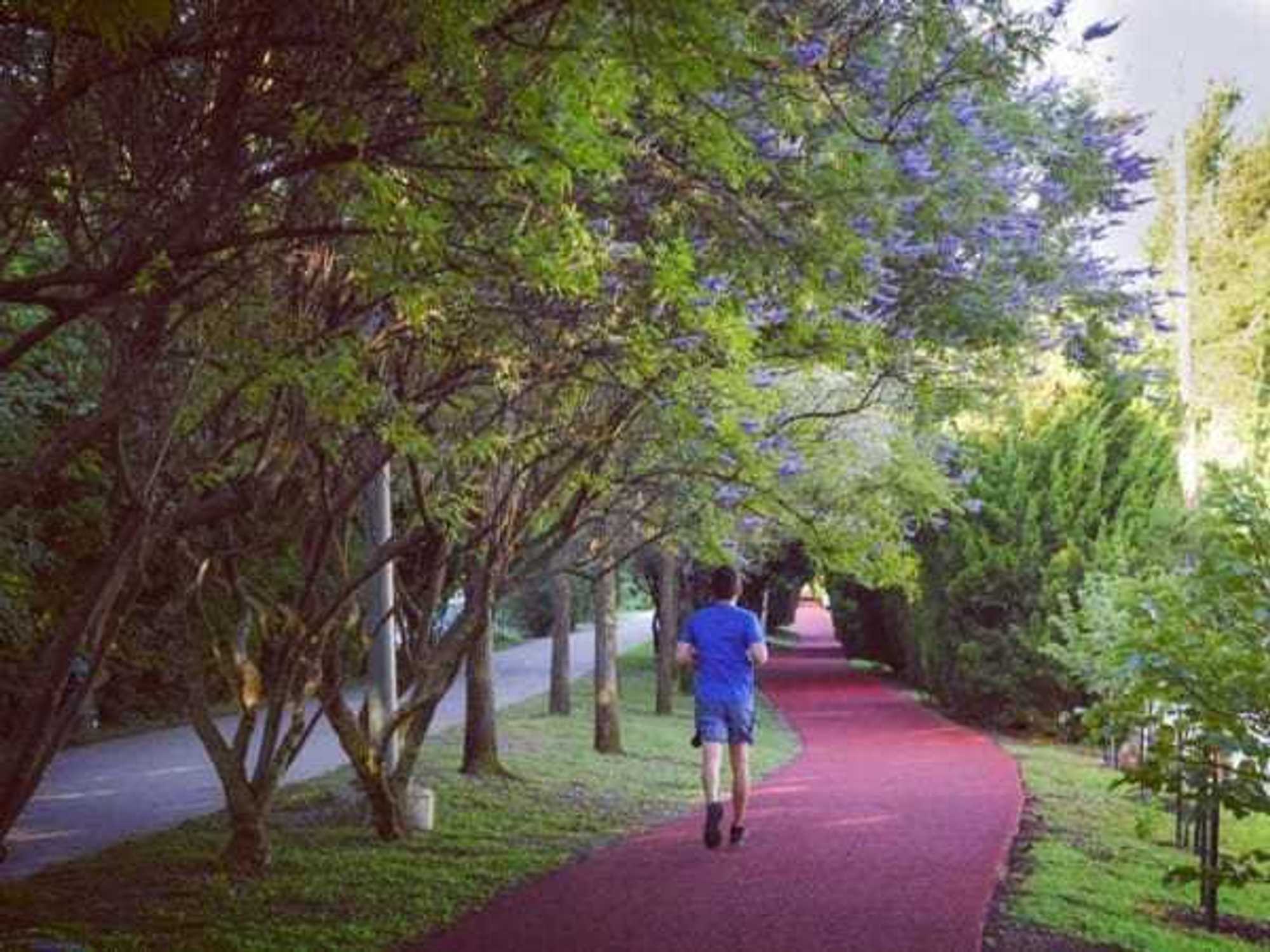Man jogging on the Katy Trail