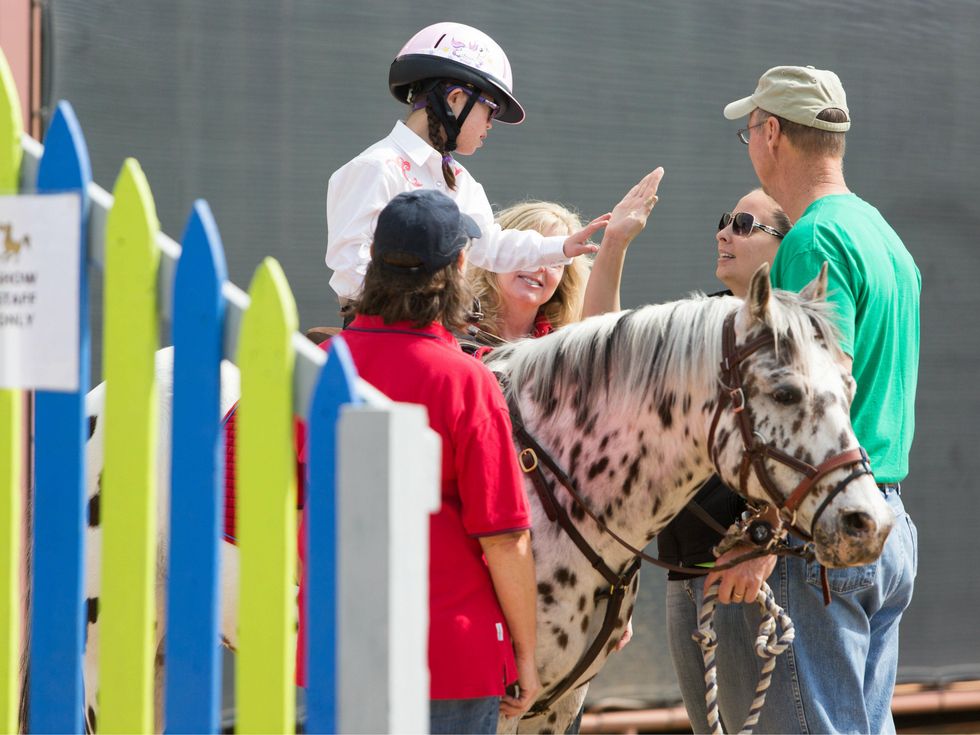 ManeGait Horse Show 2014