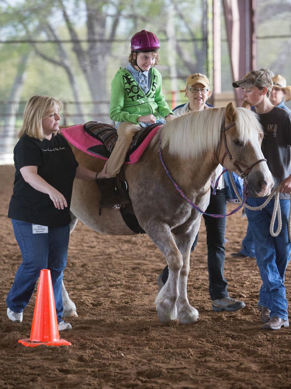 ManeGait Horse Show 2014