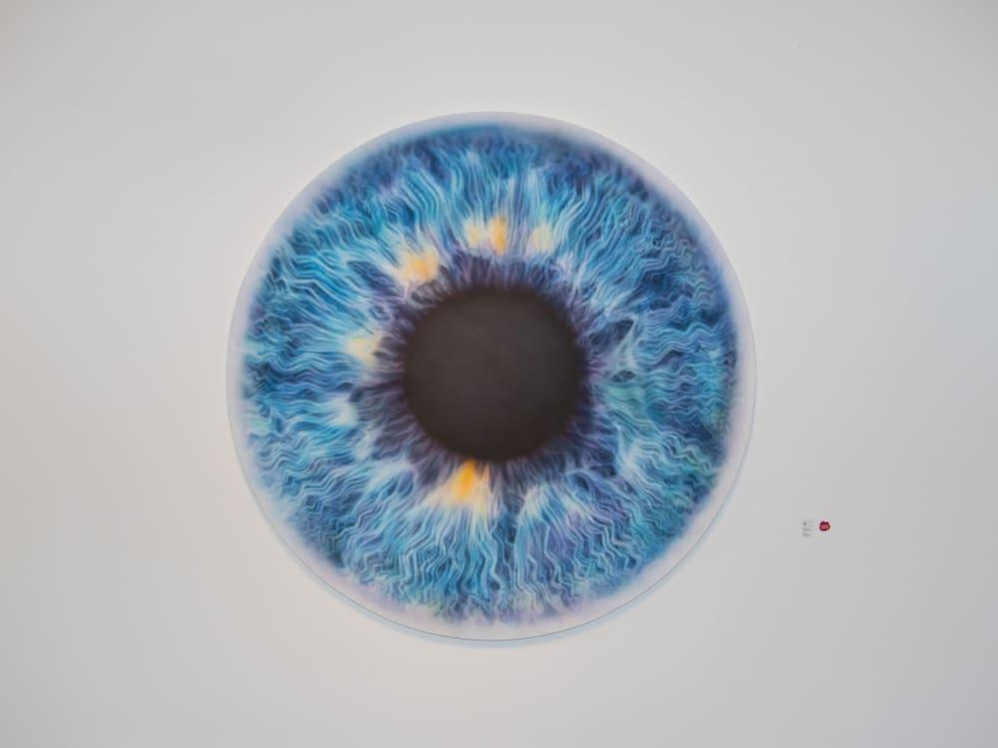 Marc Quinn eye painting