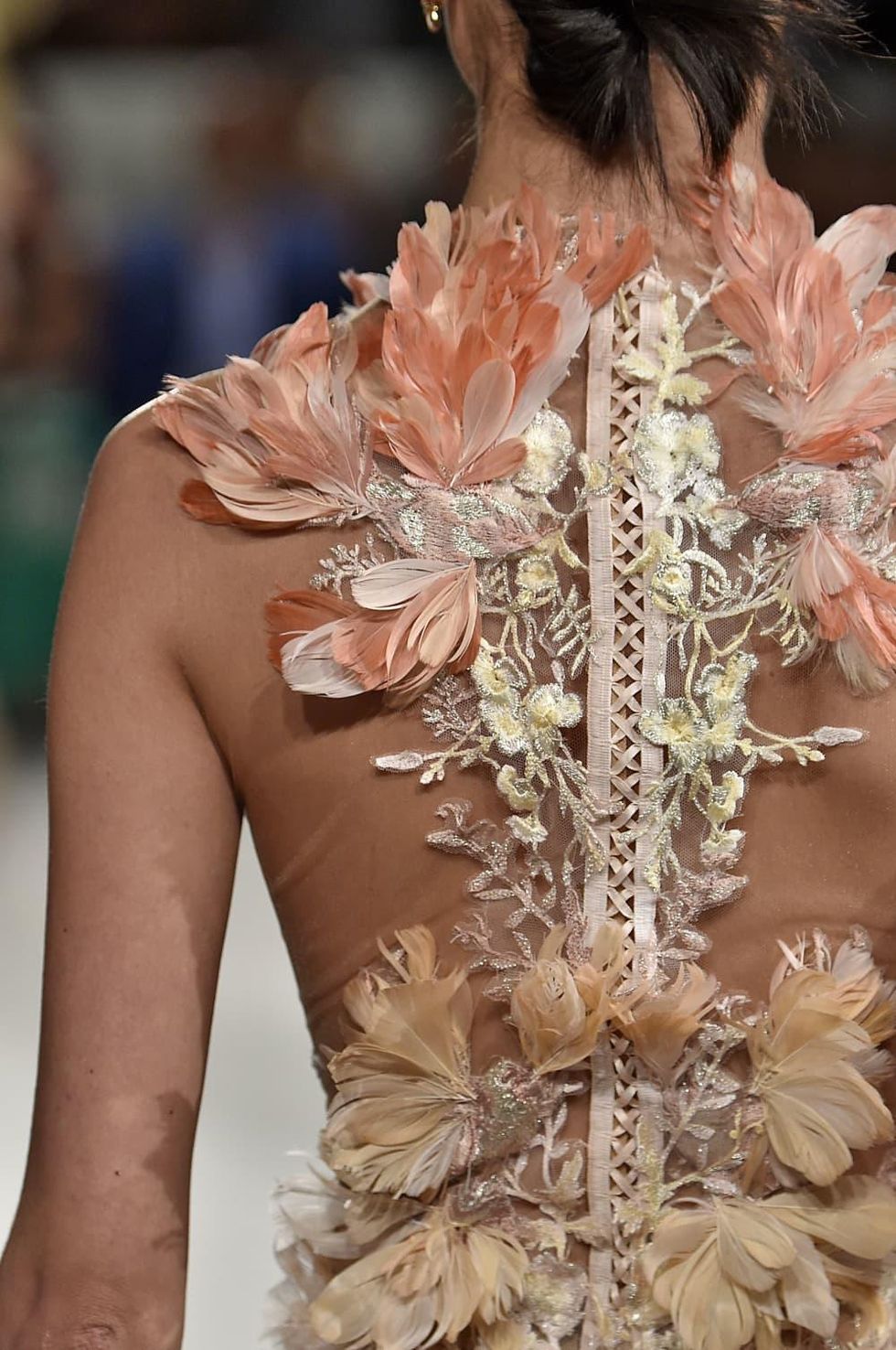 Marchesa spring 2016 collection from back view
