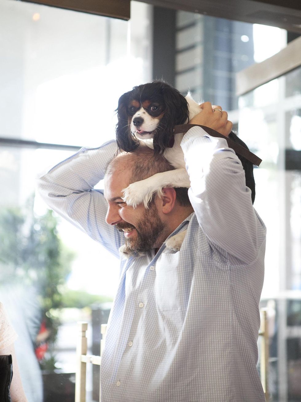 Mark Evans, Winston, SPCA, Hotel Palomar