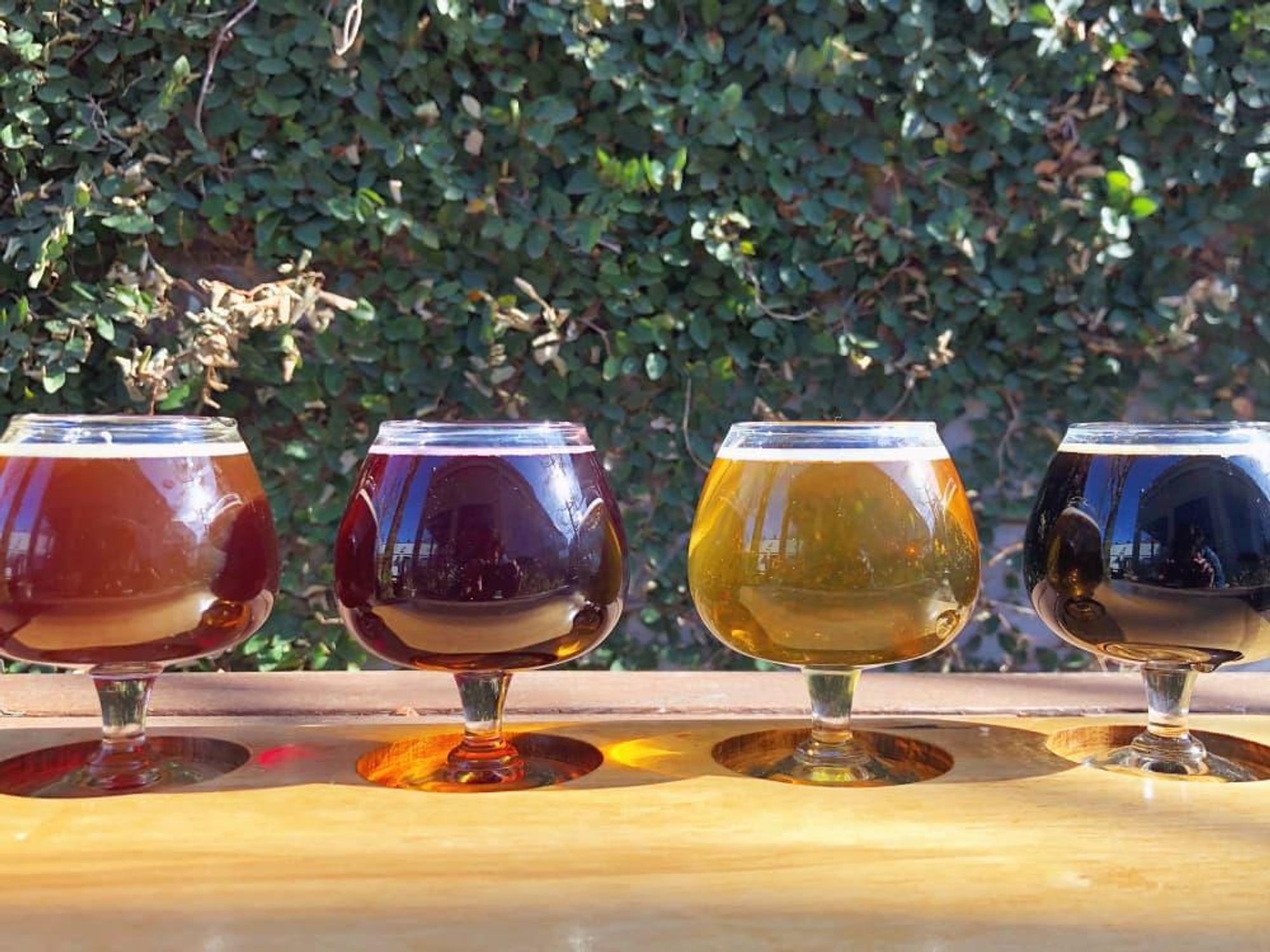 Meddlesome Moth 9th Anniversary Celebration