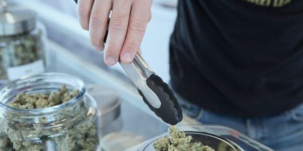 Texas medical cannabis provider adds Arlington to budding list of Dallas-area pickup locations - Vimarsana News